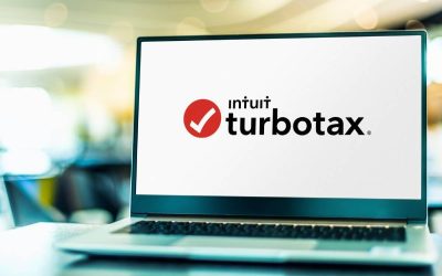 TurboTax vs Tax Preparer: How Should I File My Treasure Valley Business Taxes?